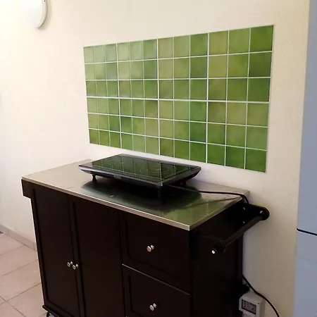 Leonardo Проживание в семье *